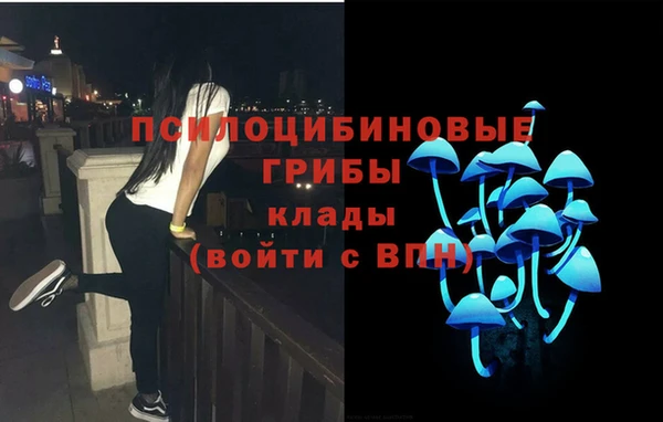 spice Ладушкин
