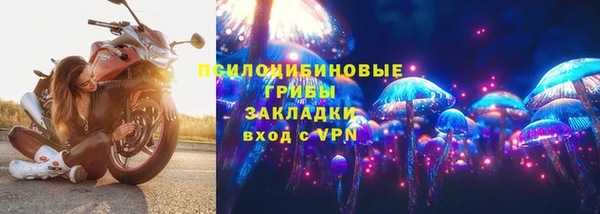 spice Ладушкин