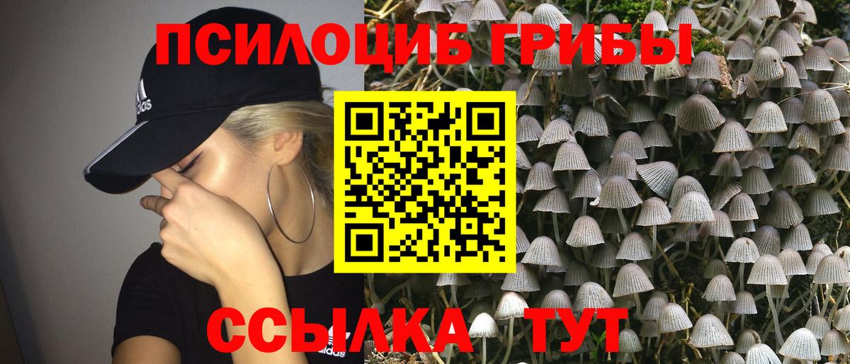 хочу   Галлюциногенные грибы MAGIC MUSHROOMS  Галлюциногенные грибы GOLDEN TEACHER  Вход с VPN  Электросталь 